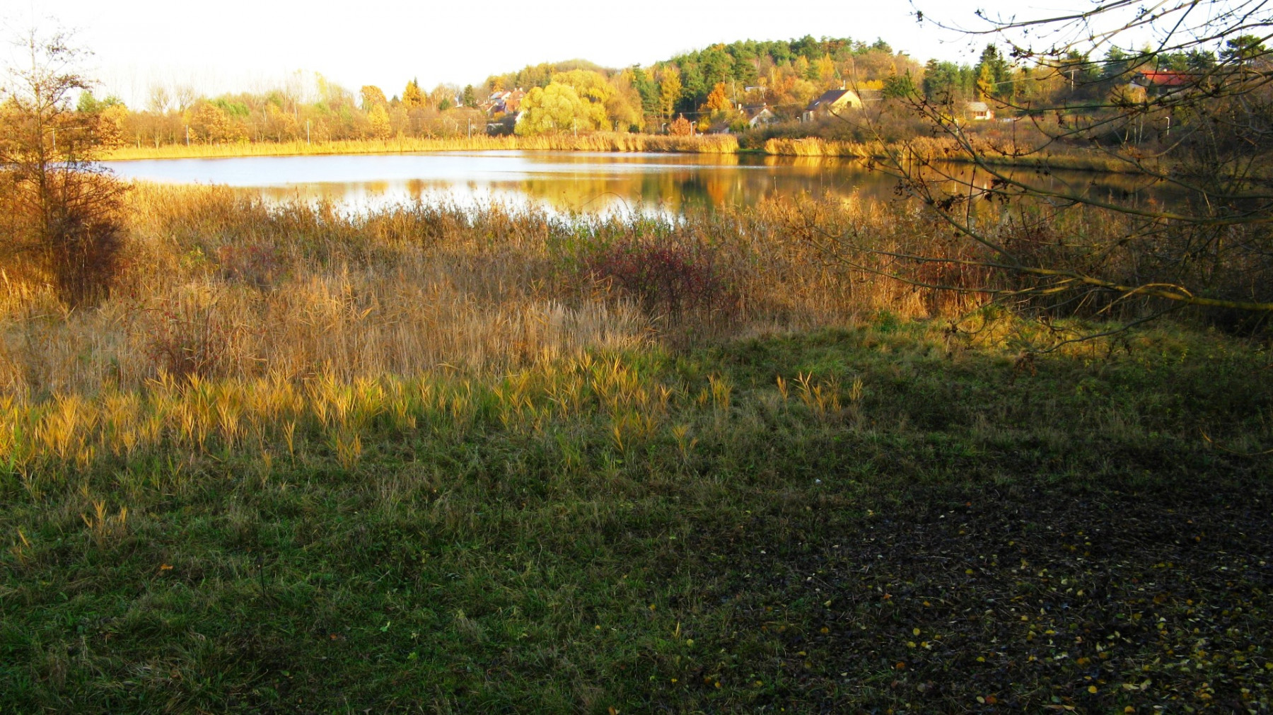 Dubeč přírodní památka Rohožník - rybník v Rohožníku