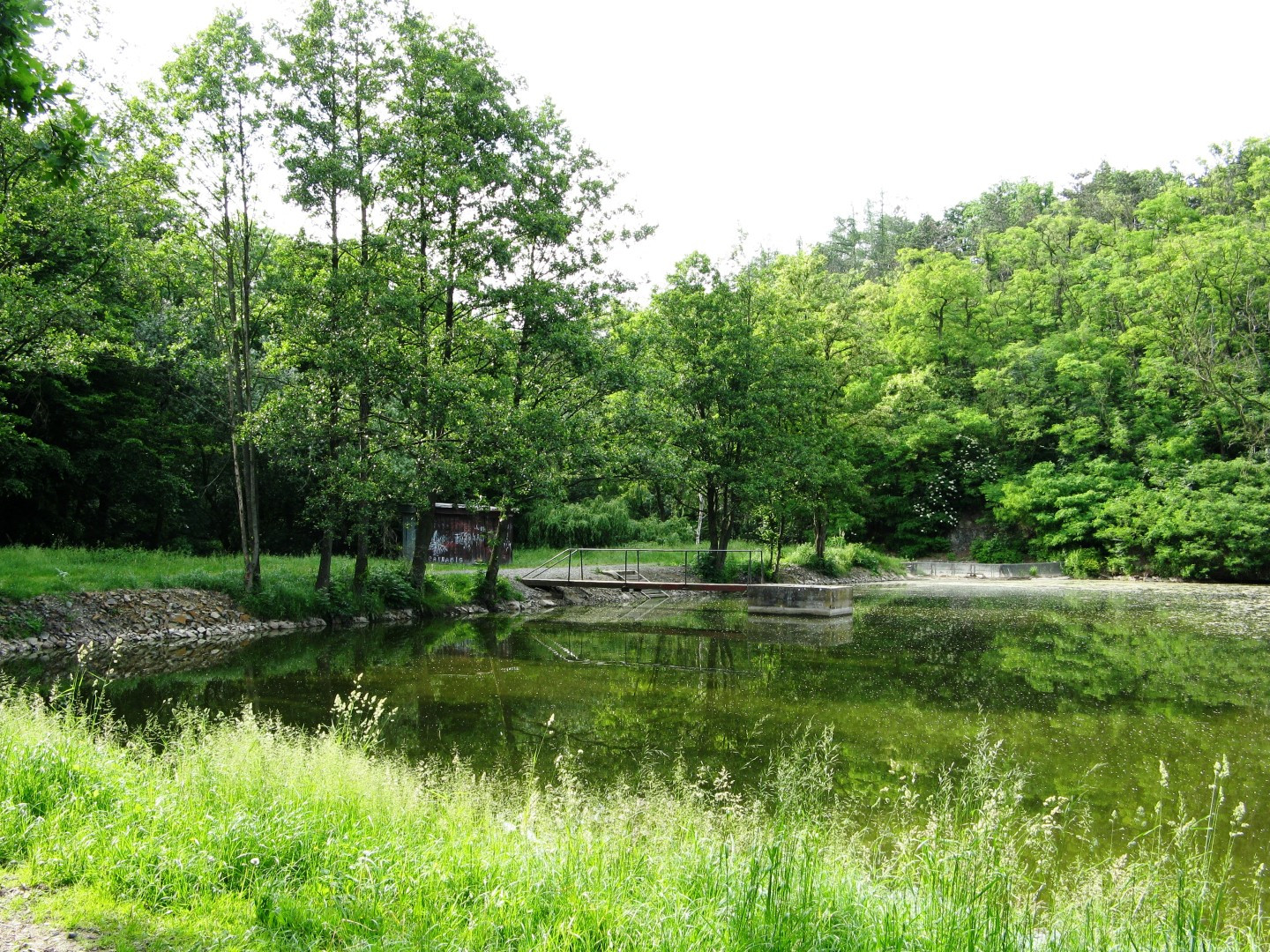 Modřanská rokle - rybník Kalibárna
